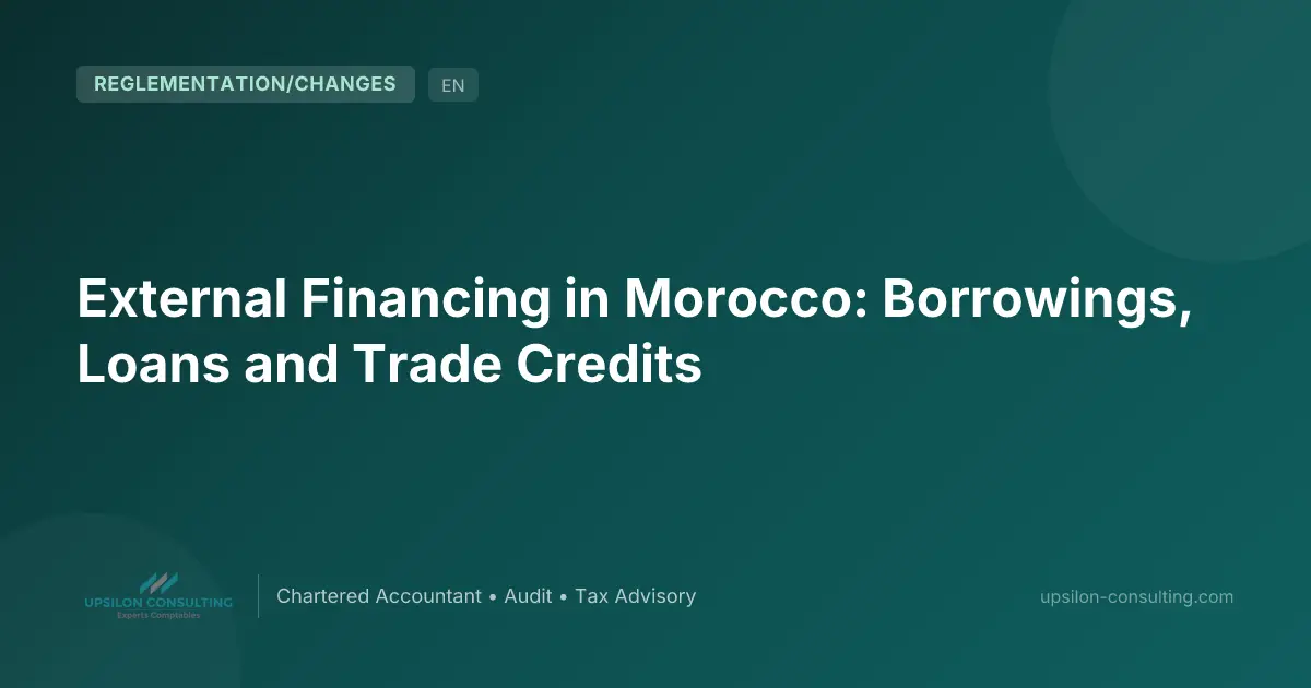 External Financing in Morocco: Borrowings, Loans and Trade Credits
