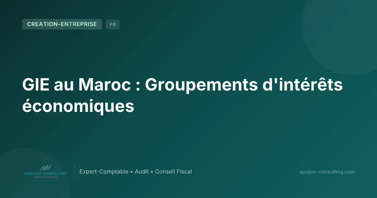 GIE au Maroc : Groupements d'intérêts économiques